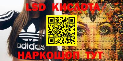 прущие грибы Камышлов
