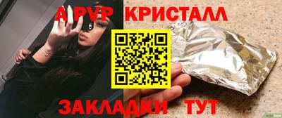 прущие грибы Камышлов