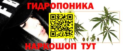 прущая мука Канаш