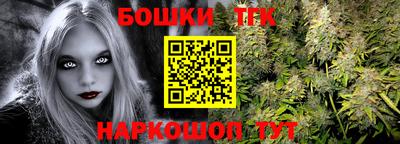 прущие грибы Камышлов
