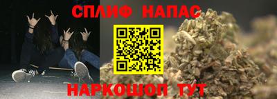 прущие грибы Камышлов
