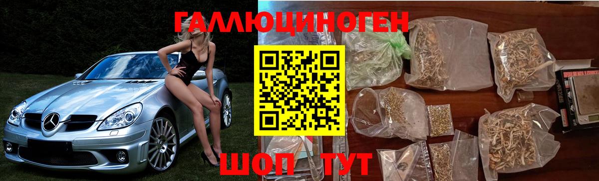купить наркоту  Псилоцибиновые грибы Magic Shrooms  Вход с VPN  Михайловка  Псилоцибиновые грибы Psilocybe 